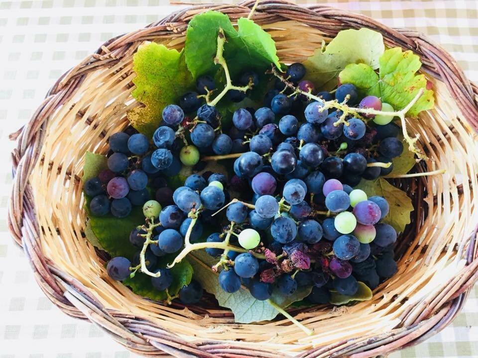 La Vallonea Casamassella Zewnętrze zdjęcie